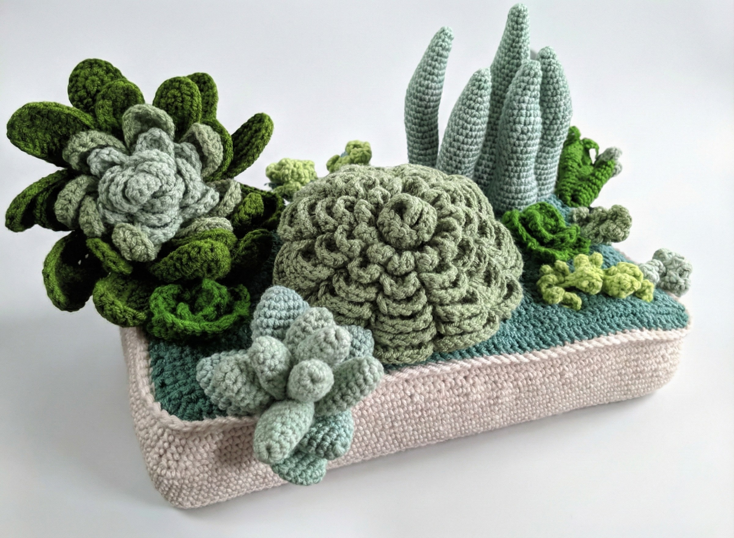 crochet succulent plant Planter with Succulent Plants Crochet Pattern